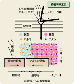 （Al,Ti）N膜の酸化挙動概念図